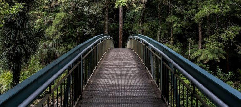 What's one thing you can do this week to start building a culture of adoption at your nonprofit, association, or foundation? Use these tips to create an adoption plan for your tech project.