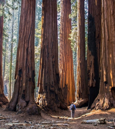 Five Signs Your Nonprofit Needs a CRM Platform