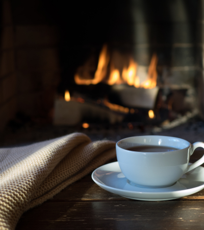 Fireside Chat: How MENTOR Used a Technology Roadmap to Advance Organizational and Technology Strategy